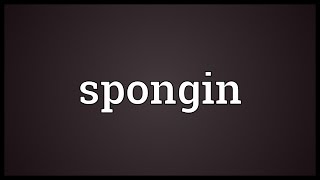 Spongin Meaning [upl. by Airamanna]