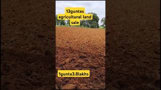 Agricultural land sale in Telangana shortfeed [upl. by Horan869]