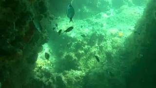 Snorkeling Sebastian Inlet bridge 8210 [upl. by Hecht752]