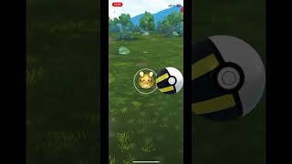 I Caught a Dedenne  Pokémon Go [upl. by Gabrielli]