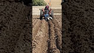 McCormick International 434 Tractor at Cruckton Ploughing Competition  Saturday 14th September 2024 [upl. by Drice]