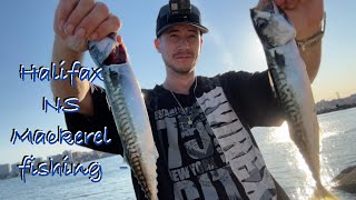 Mackerel fishing in Halifax NS [upl. by Nehgaem]