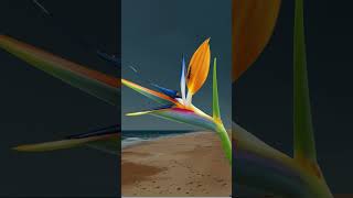 Plant Facts  Bird of Paradise Strelitzia reginae gardening plantythings plantnerd plants [upl. by Yazbak74]