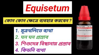 Uses of Equisetum Homeopathy Medicine । কিডনির সমস্যায় হোমিওপ্যাথি । [upl. by Ahsemot477]