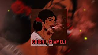 CHIKNI CHAMELI sped up [upl. by Wunder493]