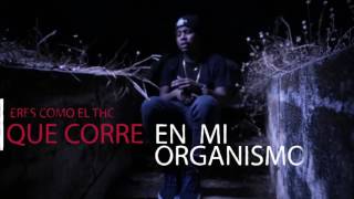 Yemil  Batro Romanticismo  Video Lyrics Explicit [upl. by Coyle]