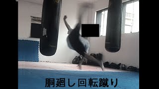 The Power of Do Mawashi Kaiten Geri Kyokushin Wheel Kick  胴廻し回転蹴り [upl. by Nivalc817]