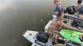 Shark fishing on Edisto Island [upl. by Yot575]