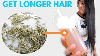 ROSEMARY WATER For Hair Growth  ➻ How To Use Rosemary For Hair Growth [upl. by Leizahaj255]