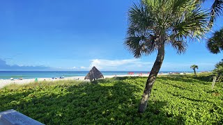 Robbs Walking Tour of Lowdermilk Beach Park  Naples FL [upl. by Annek]