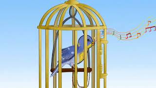 Caged bird Poem [upl. by Esinahs]