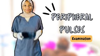 How To Examine The Peripheral Pulses [upl. by Nnaeiram]