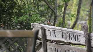 La Ferme Théâtre de et par ALAIN TURBAN [upl. by Ahsieni]