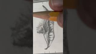 Lips sketch tutorial phoenixart [upl. by Cleaves]