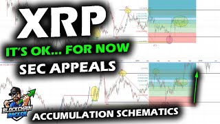 XRP PRICE CHART as SEC Files Appeal Against Ripple Price Sits within Support Range Looking Ahead [upl. by Narmak]