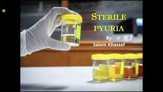 Sterile pyuria [upl. by Ailero]