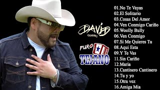 David Olivarez Puro Tejano Mix  David Olivarez Greatest Hits [upl. by Sicular]