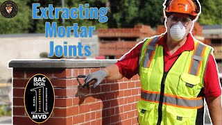 Extracting Mortar Joints [upl. by Harts]