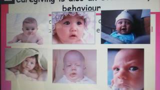 Bowlby Evolutionary theory of Attachment [upl. by Roxy]