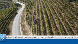 CONSORZIO DI TUTELA BAROLO BARBARESCO ALBA LANGHE E DOGLIANI [upl. by Haila]