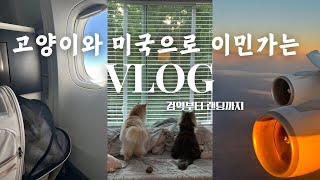 🐱고양이들과 26시간을 달리고 달려 미국 도착🇺🇸  고양이 동반 미국 입국하기 amp 검역 vlog  대한항공 반려동물 기내반입  애틀랜타 하츠필드 잭슨공항 랜딩✈️ [upl. by Aifos]