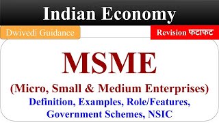 MSME msme definition msme Role msme kya hai msme schemes MSMED Act 2006 Indian economy bcom [upl. by Tarah]