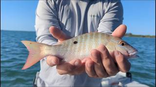 FL Keys Fishing Snappers at Sunset [upl. by Ahsiemaj906]