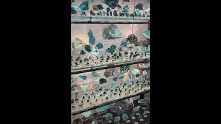 Spirifer Minerals  The Mineral City Show 2023 Tucson S02 E02 [upl. by Akihc]