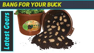 City Pickers Spud Tub Potato Grow Kit Best Way to Grow Potatoes on Your Patio [upl. by Gerri528]