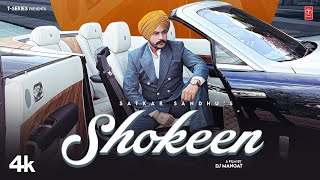 SHOKEEN Official Video  Satkar Sandhu  Latest Punjabi Songs 2023  TSeries [upl. by Llenrep671]