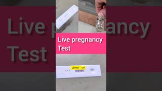 Pregnancy test at home livepregnancytest shorts [upl. by Neelyam]