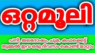 വീട്ടിൽ കിട്ടുന്ന ചില സാധനങ്ങൾ വെച്ച് ഉഗ്രൻ ഒരു ഒറ്റമൂലിOttamooli in Malayalam [upl. by Chirlin957]