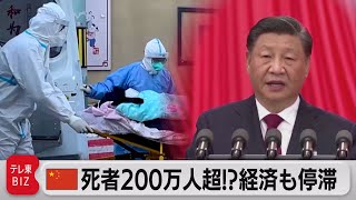 「ゼロコロナ」破綻で感染爆発…経済停滞する中国「ピークをスムーズに乗り切る」と強調【TV TOKYO International】（2022年12月16日） [upl. by Aihsemat]