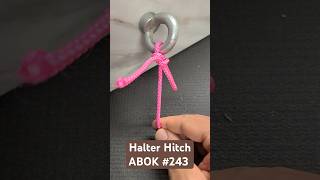 Halter Hitch Quick Release ropework ABDIY [upl. by Annayt535]