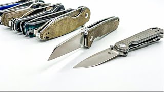 5 Incredible Kizer Knives Quick Knife Reviews [upl. by Nitsuga112]