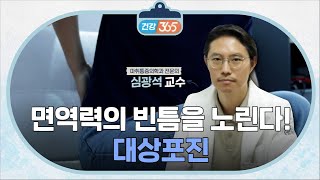 면역력의 빈틈을 노린다ㅣ대상포진ㅣ심광석 교수 TBC클리닉건강365 [upl. by Htinek]