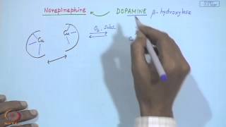 Mod12 Lec12 Electron Transport Proteins  VIII [upl. by Ethbinium]