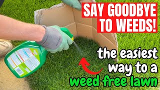 How to kill WEEDS in your LAWN the simple way [upl. by Helse62]