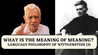 Meaning of Meaning  Language Philosophy of Ludwig Wittgenstein 3  Tractatus LogicoPhilosophicus [upl. by Murage]