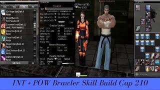 🎮INT  POW Brawler Skill Build  Cap 210  RAN Online [upl. by Aria]