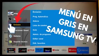 Emisión en gris en televisor Samsung solucionar esta función no se encuentra disponible [upl. by Ruskin]