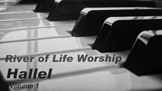 Hallel  Lyric Video [upl. by Wadesworth]