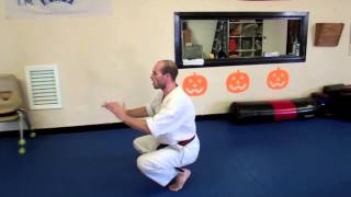 How To Do A Kip Up Webster Martial Arts  Decatur AL amp Moulton AL [upl. by Levon]