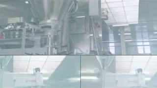 Hayssen Auger Dosing System [upl. by Llovera]