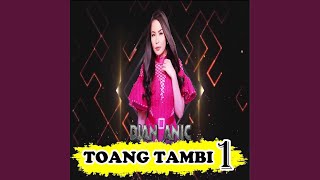 Toang Tambi 1 [upl. by Airdnalahs]