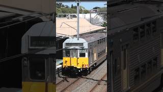 S Set at Petersham australiantrains sydneytrains railfanning [upl. by Clyde482]