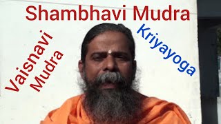 Shambhavi Vaisnavi Mudra Kriyayoga meditation Swami Nityananda Giri [upl. by Photima]