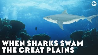 When Sharks Swam the Great Plains [upl. by Arada]