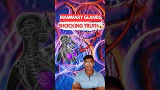 MAMMARY GLANDS The Shocking Truth Behind Their Function 😱  Biology NEET  Class 12th [upl. by Joane]