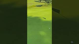 1st chip in on the Bogey Boys channel golfers golflife likeandsubscribe staytuned greatness [upl. by Lanahtan]